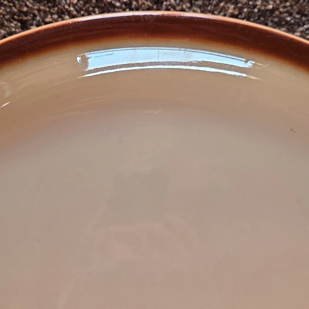 Tepco China USA Restaurant Ware Brown Oval Patter Dark Brown Edge Heavy MCM